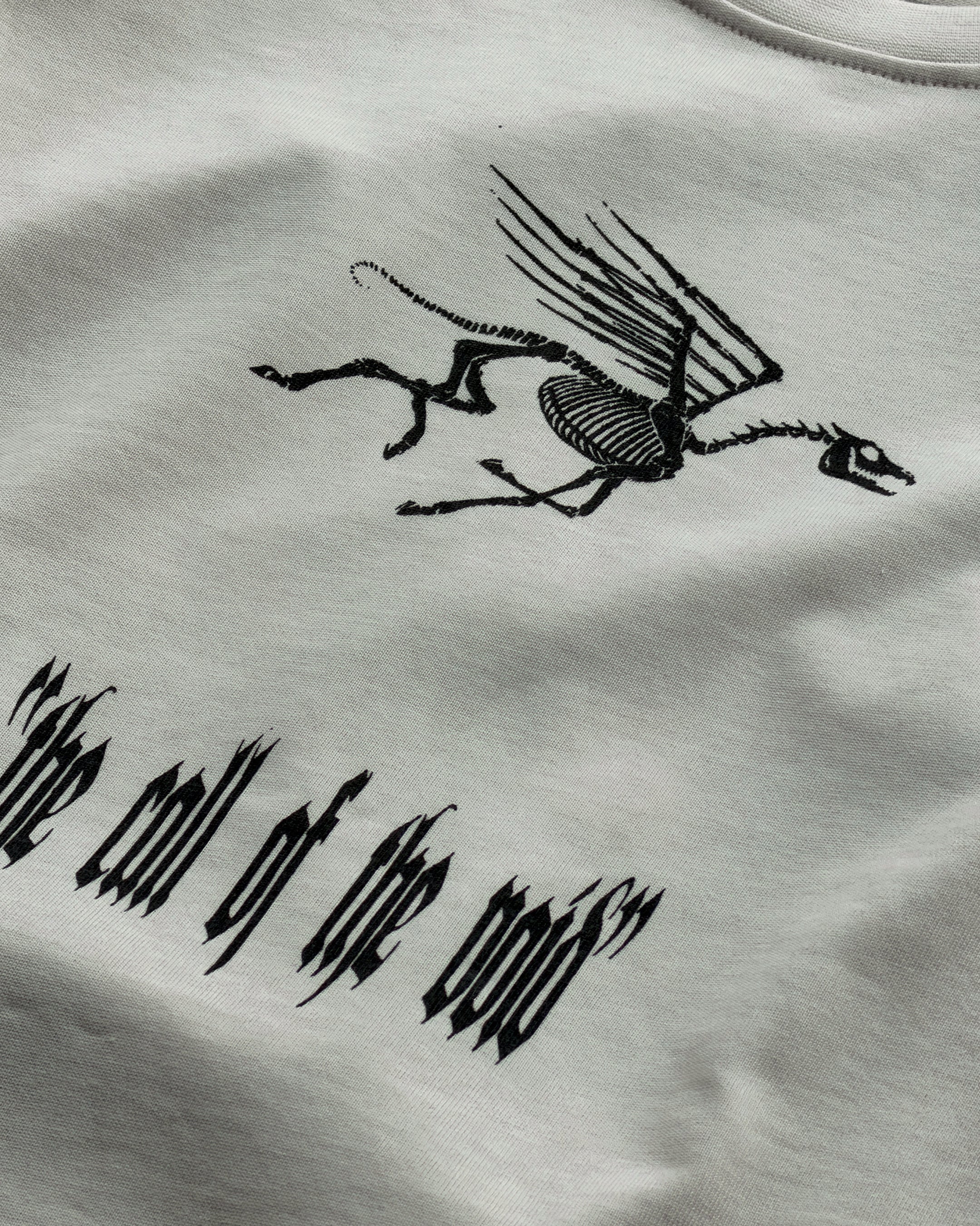 DIST / DNMX X SKULLPHONE "The Call of The Void" LONG SLEEVE T-SHIRT BONE - Image 3